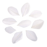 Plumes coupées blanc 5 - 6 cm