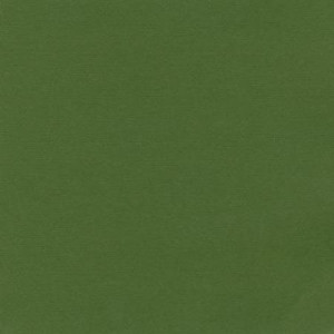 Papier Bazzill Toile 30,5 x 30,5 cm - 216 g/m² - Vert Ivy
