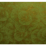 Papier Lokta 50 x 70 cm 150 g/m² Fleurs dorées sur Vert Anis