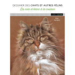 Livre Dessiner des chats et autres félins